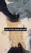 قدم زدن عاشقانه در برف زمستانی و ثبت لحظات ناب
