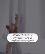 کیا موقع چت اینجوری هستن😂😂🤍