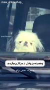 بدون عنوان .......................