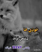 حرف دل ک میگه غریبه اگ وفا کند خویش من است