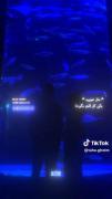 موزیک ویدئو ‌‌‌‌‌‌‌‌‌‌‌‌‌‌ ‌‌