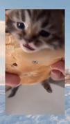 ‌‌ ‌‌ ‌ ‌ ‌ ‌ ‌ ‌ ‌ ‌ ‌ ‌ ‌ ‌ ‌