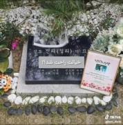 خیالت راحت شد؟؟‌‌‌‌‌‌‌‌‌‌‌‌‌‌‌‌