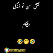 نقش من تو جمع رفیقام.کیا اینطورین؟🤣