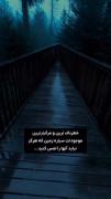 خطرناکترین و مرگبارترین موجودات زمین که نباید آنها را لمس کنید 😬