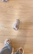 وای ننه😺.......................