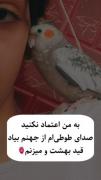 اون ژست آخر ویدیوش منو کشته🥰🧿🗣️🤍💝
