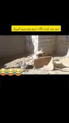 بره‌ای با استعداد ژیمناستیک: قهرمان پرش از موانع!