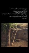 کور کردن ذوقمان را. میپرسند چرا ساکتی. 