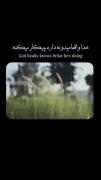 .خدا واقعا میدونه داره چیکار میکنه نگران نباش.