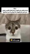 برای تقویت زبان انگلیسیت اهنگ خارجی گوش کن:/
