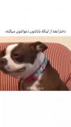 دخترا/پسرا وقتی با خانواده اشون دعواشون میشه