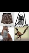 چیزی که مردم عادی میبینن:چیزی که ما کیدرامر ها میبینیم