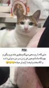 وقتی مامان موقع دعوا سوتی میده و جلوی خنده رو گرفتن سخته!