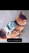 برای صبح شنبه دیر رسیدن..😥😂‌‌‌‌
