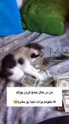 دارم پولامو جمع میکنم که دنیا رو واست بخرم🥺🥺