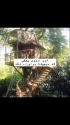 هممون ازاین خونه درختی ها میخواستیم مگه نه؟
