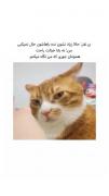 همچنان جوری که من نگاه میکنم ..