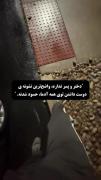واضح ترین نشونه ی دوست داشتن توی همه ی ادما ...