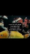 حقیقت ها............:))))هعیییییی