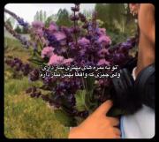 ولی من نیاز به نمره ندارم نیاز به ‌.....:))