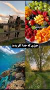 کاری که انسان ها باهاش کردن !!!