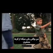 وقتی یکی میگه از گربه ها متنفرم واکنش من😂😂