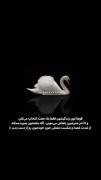 من تو رو مثل یه قو دوست دارم🥲❤️‍🩹