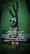 وقتی شیطان درونم جشن می‌گیرد: میم طنز پاندا