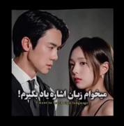 این دوتا زوج مثِ هم بودن نه؟😍