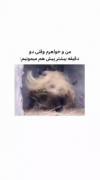 آخ که چقد حق بود.... فالو =4 بک، بک میخوای تو کامنتا بگو 