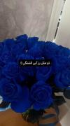 ولی رنگ آبی🪼💙‌‌‌‌‌‌‌‌‌‌‌‌‌‌‌‌‌
