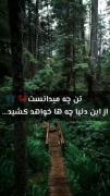تــــن چی میدانـــــــــــست؟! 