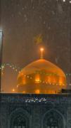 امام حسین که هیچ، امام رضا هم نمیخواد مارو🥺💔