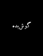 قدت نمیرسد او را رصد کنـــــی:)))) 