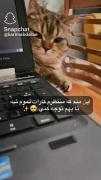 😂کیا موافقن باهاش ‌‌‌‌‌‌‌‌‌‌‌‌‌