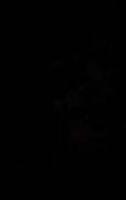دیگه ندارمت 🚶🏻‍♀️🖤. ‍