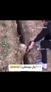 گوسفند بنده خدا چشم نداشت😂‌‌‌‌