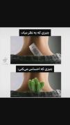 این لامصبو وقتی قیچی کنی بدترم میشه 🤷