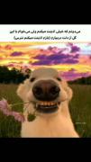 ببینننن چقدددددد گوگولیههههه❤️