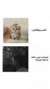 مهذیار دلبره خعلی بزرگه هعی میگه متن کوتاه🙄🙄🙄خو حرفم نمیاد
