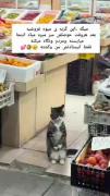 فقط وایسادنش خودااا🥺🥺🥺😂😂😂