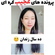 جنایی:پرونده ی عجیب کره‌‌‌‌‌‌‌‌