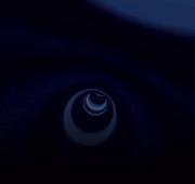 آتوسا مدگل‌‌‌‌‌‌‌‌‌‌‌‌‌‌‌‌‌‌‌‌‌