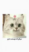 ای بـــابـــا 😂💕