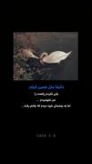 کلیپ غمگین عاشقانه: دیدم که جانم می‌رود