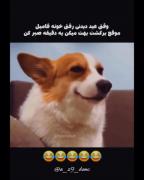 موقع عیدی گرفتن لامصب یه حسی دیگه میده 