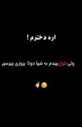 پژو پارس سیاه: سلطان جاده و موزیک رپ