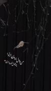 من‍ از تو جدآ شوم؟ چ‍ خیال‍ بدي:)(٫
