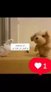 چینقدع نازن ایناااااااااااااا😍
